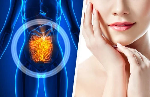 Transforma tu Piel: Descubre el Poder del Eje Intestino-Piel para una Belleza Saludable